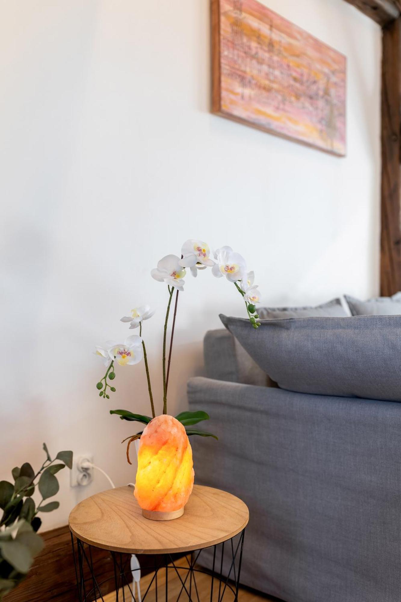 Apartment With Entresol Old Town Kraków Zewnętrze zdjęcie